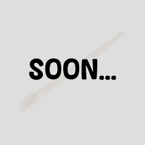 WOEFY Bamboo Toothbrush
