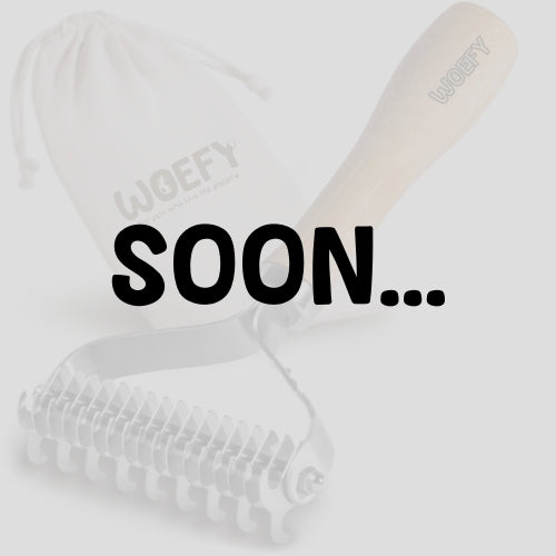 WOEFY Bamboo Pet Brush